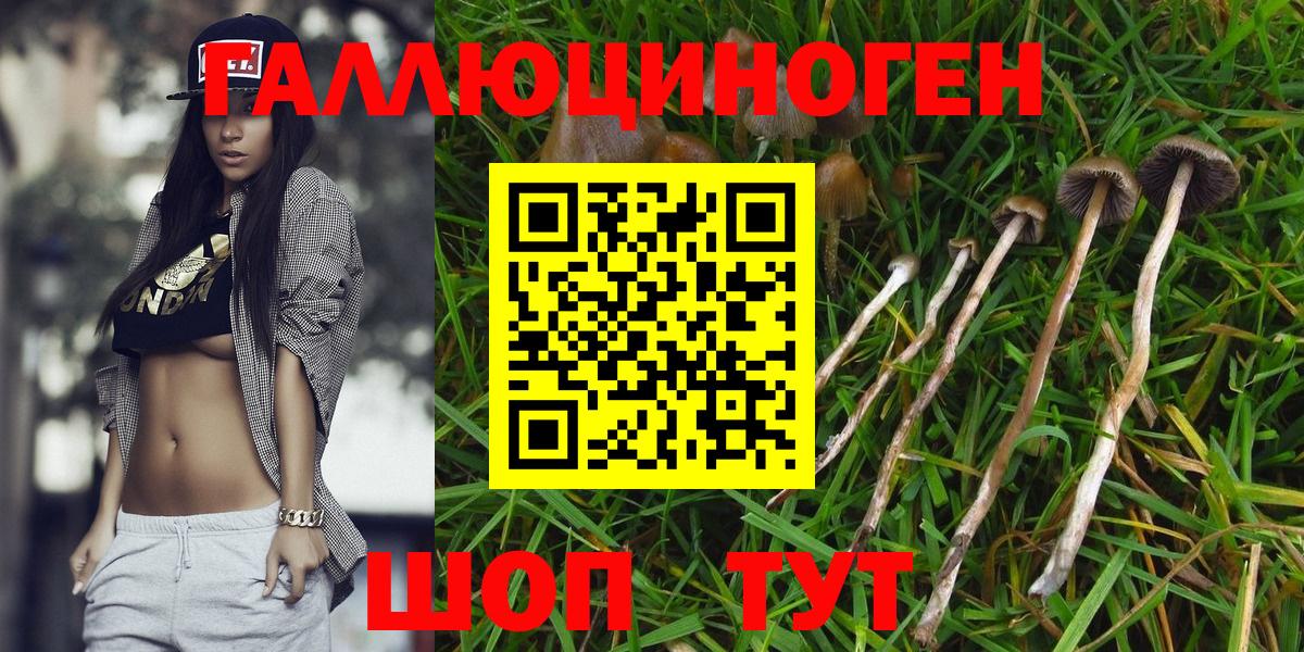 Кропоткин  Галлюциногенные грибы GOLDEN TEACHER  Псилоцибиновые грибы MAGIC MUSHROOMS  Вход с VPN 