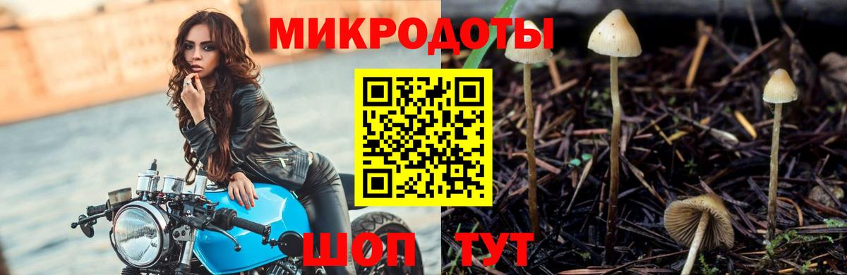 Псилоцибиновые грибы GOLDEN TEACHER Кропоткин